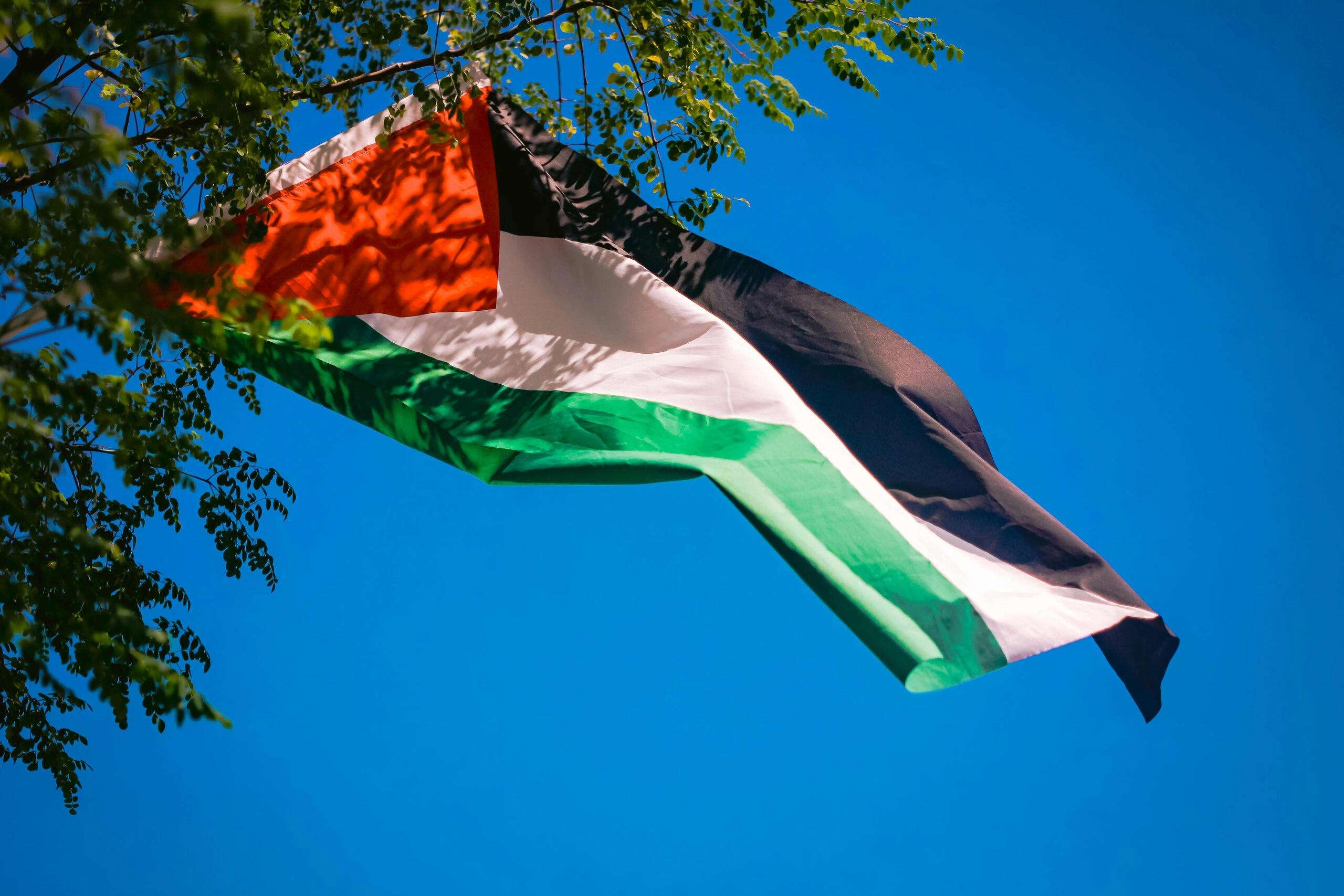 Palestinian Flag Palestinian Flag